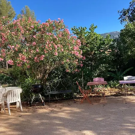 아파트 De Avec Terrasse Privative Jardin Et Parking Pres Des Plages