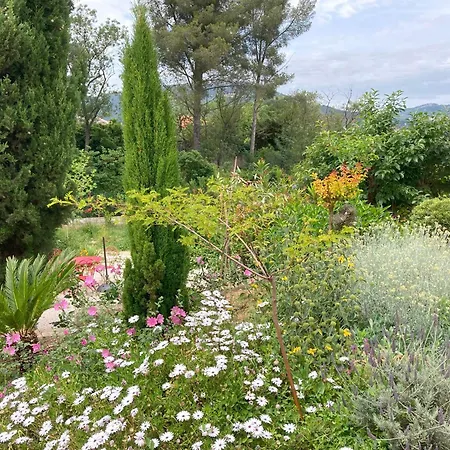 De Avec Terrasse Privative Jardin Et Parking Pres Des Plages